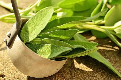 وصفات طبيعية للتخلص من قروح الفم